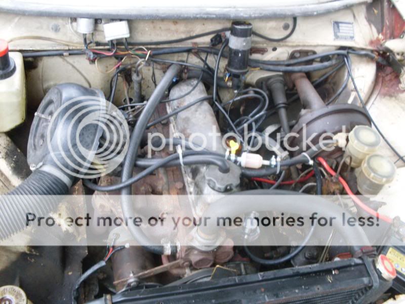 [Afbeelding: SDC10931.jpg]