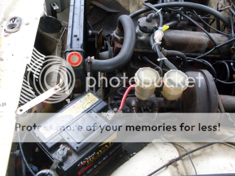 [Afbeelding: SDC10937.jpg]