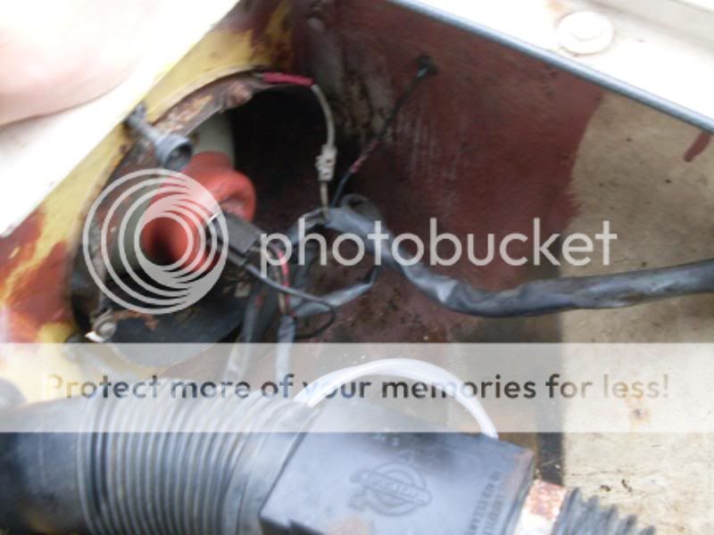 [Afbeelding: SDC10938.jpg]