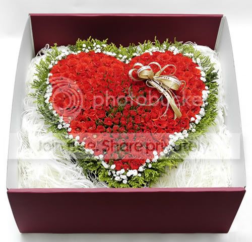 trai tim Pictures, Images and Photos