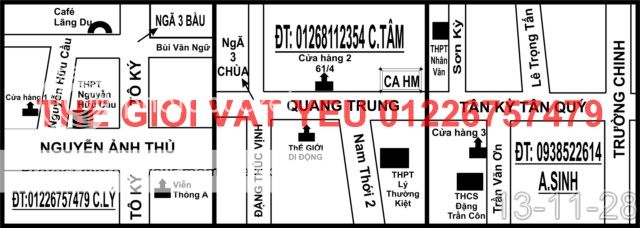 Thế giới Vật Yêu- Thiên đường Vậy yêu Hamster-Nhím-THỏ-Bọ , cung cấp sỉ