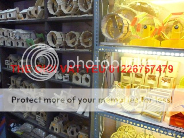 Thế giới Vật Yêu- Thiên đường Vậy yêu Hamster-Nhím-THỏ-Bọ , cung cấp sỉ - 7