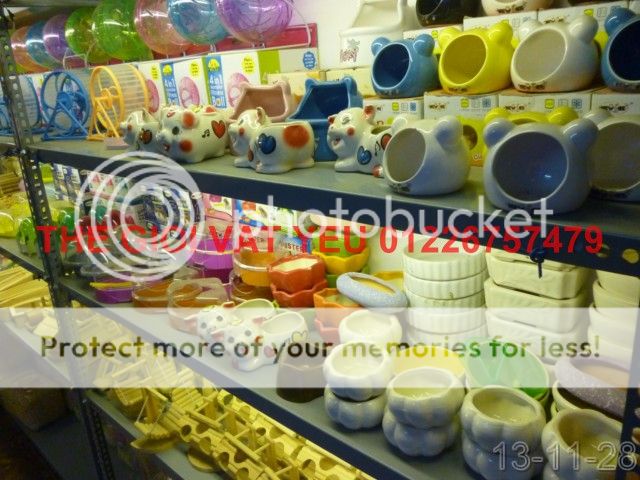 Thế giới Vật Yêu- Thiên đường Vậy yêu Hamster-Nhím-THỏ-Bọ , cung cấp sỉ - 1