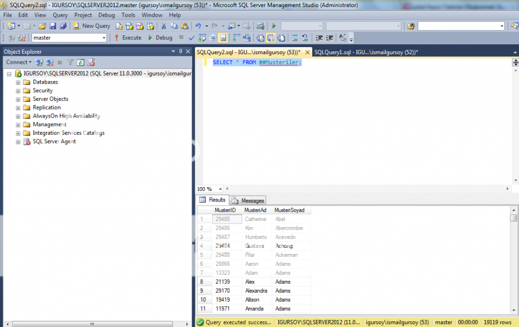 Global Geçici Tablolar Oluşturmak - Sorgu sonucu