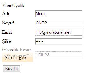 ASP.NET İle Güvenlik Kodu(Capcha) Hazırlama