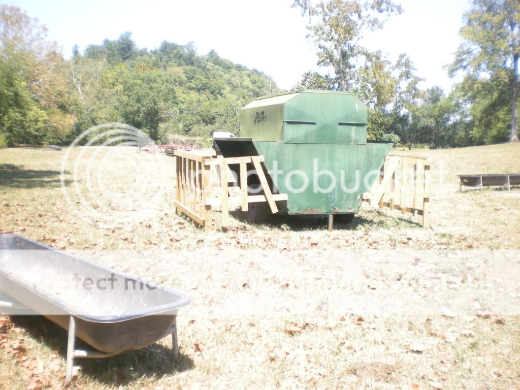 Pictures from this morning 2nd thread - Cattle