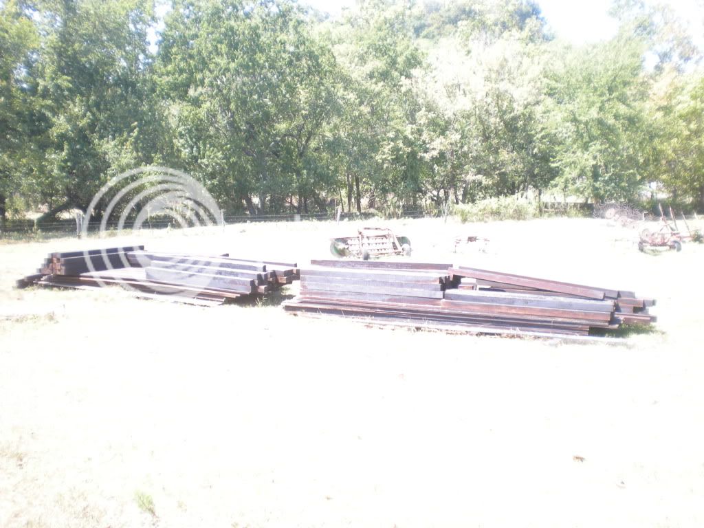 Pictures from this morning 2nd thread - Cattle