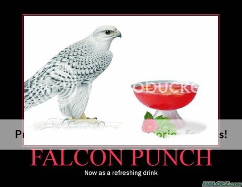 halolz-dot-com-captainfalcon-falcon.jpg