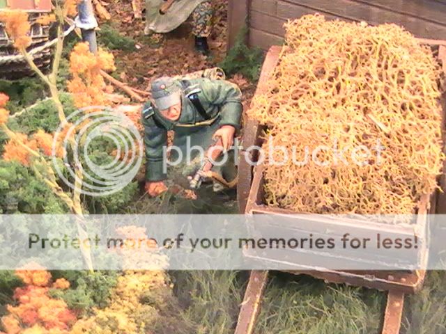 Picture024.jpg