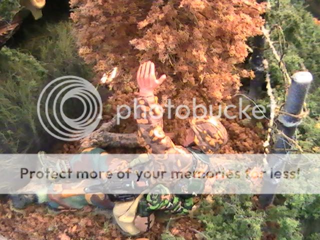 Picture032.jpg