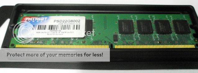 ram2.jpg