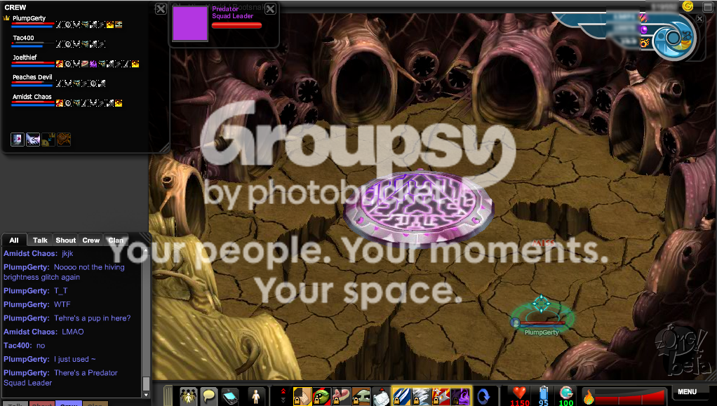 User Image